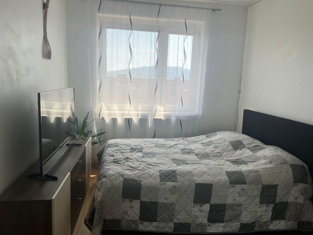 Helle Wohnung in Linzer-Mitte