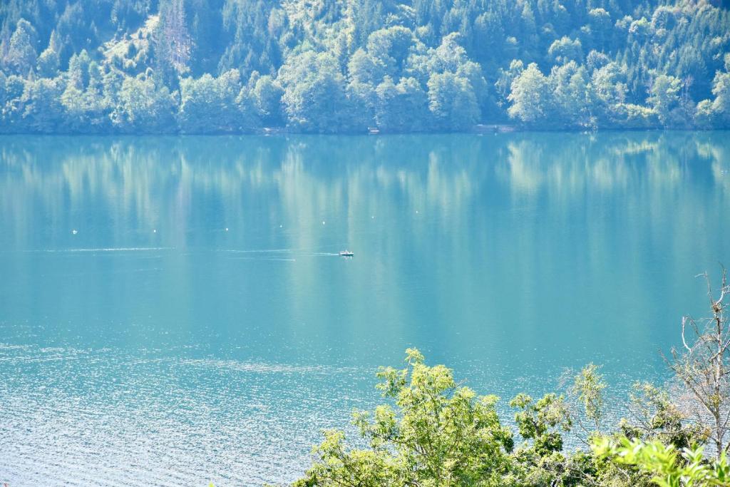 See View