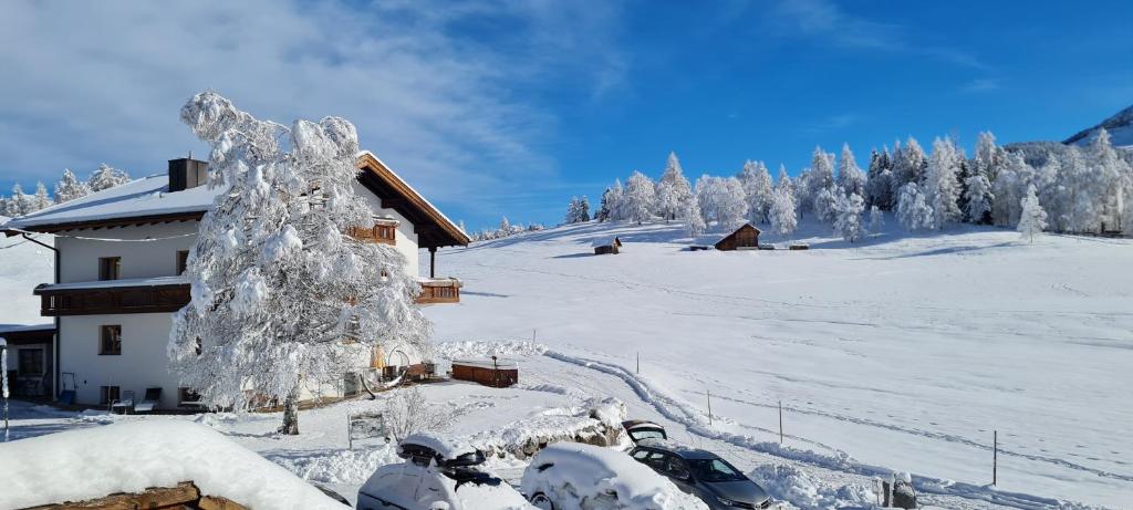 Haus Wiesenruh - amazing views & setting