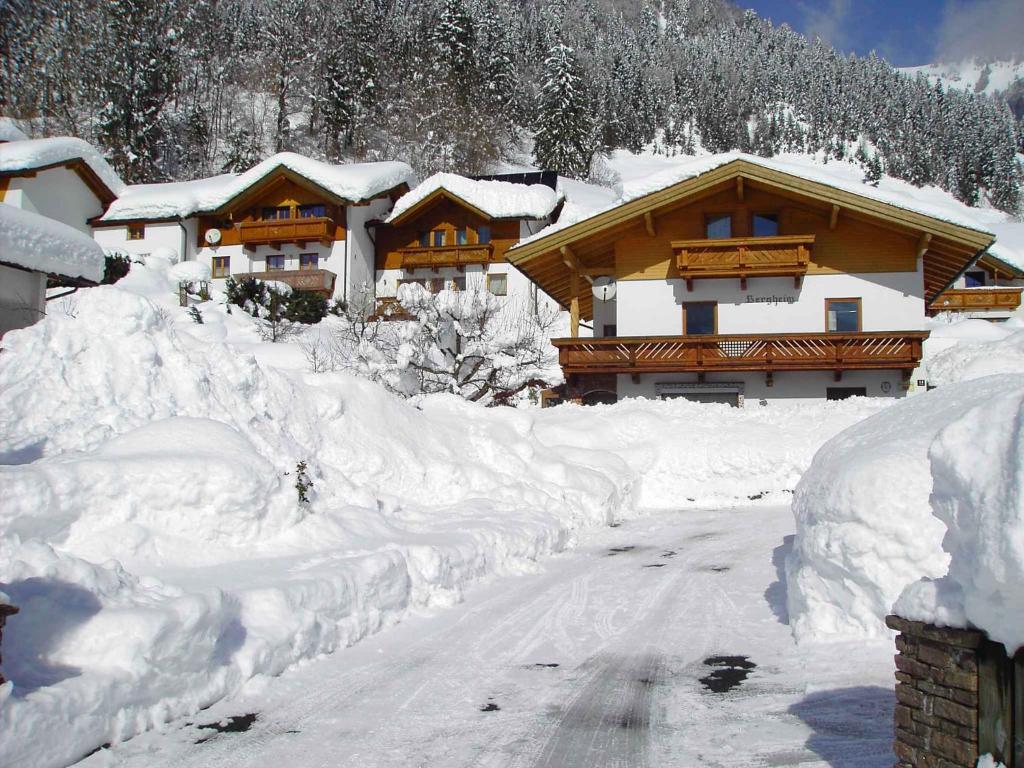Apartments in Walchsee Kaiserwinkl 489