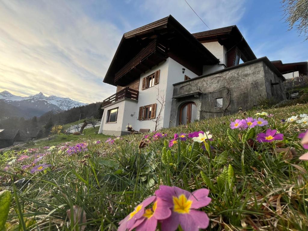 Appartement Haus Honold