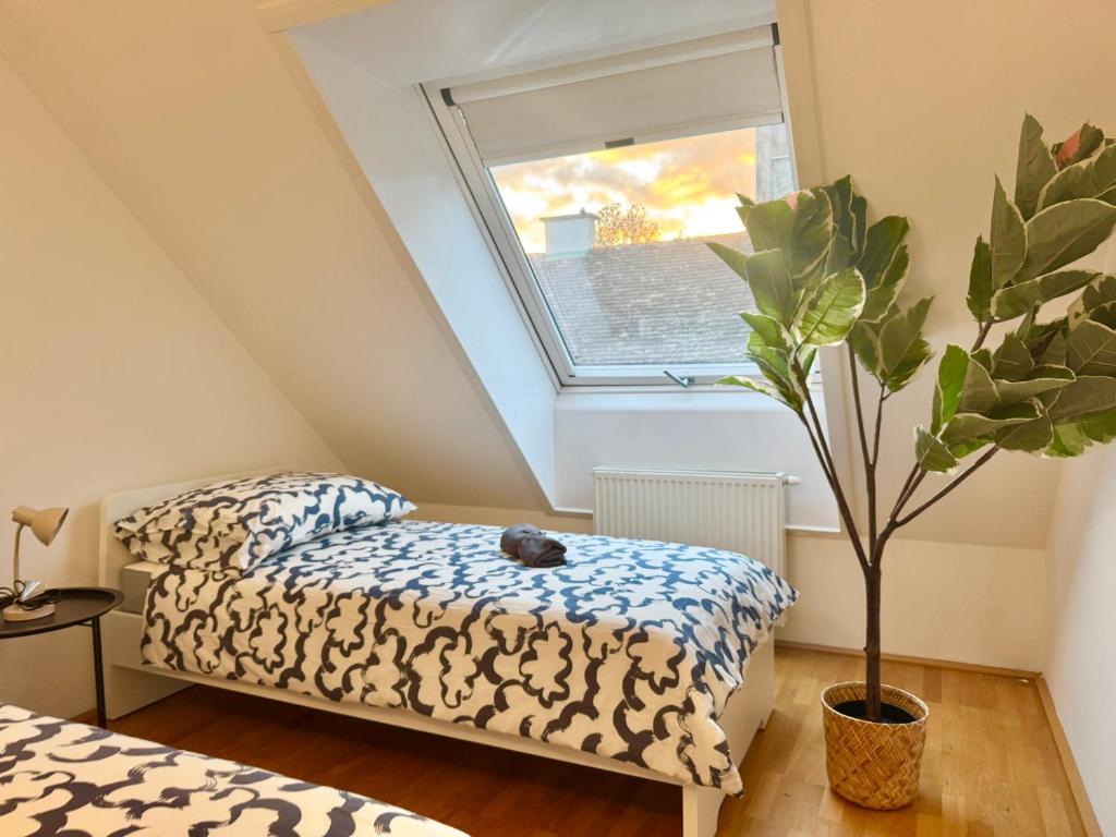 Spacious Rooftop Apartment with Balcony - Free Parking