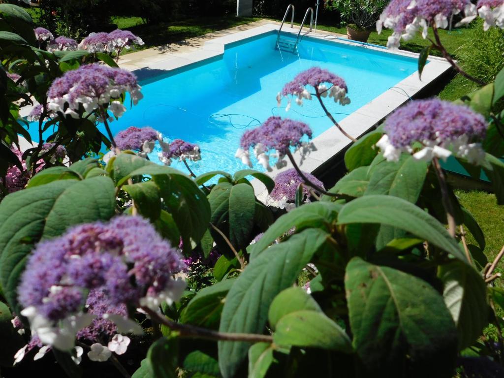 Four Seasons Apartment "GREEN PARADISE"