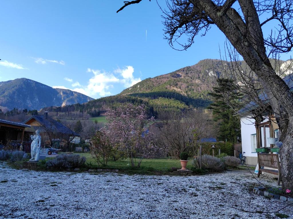 Gemütliche Landhauswohnung