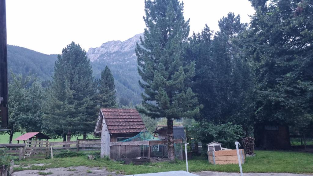 Gorshof