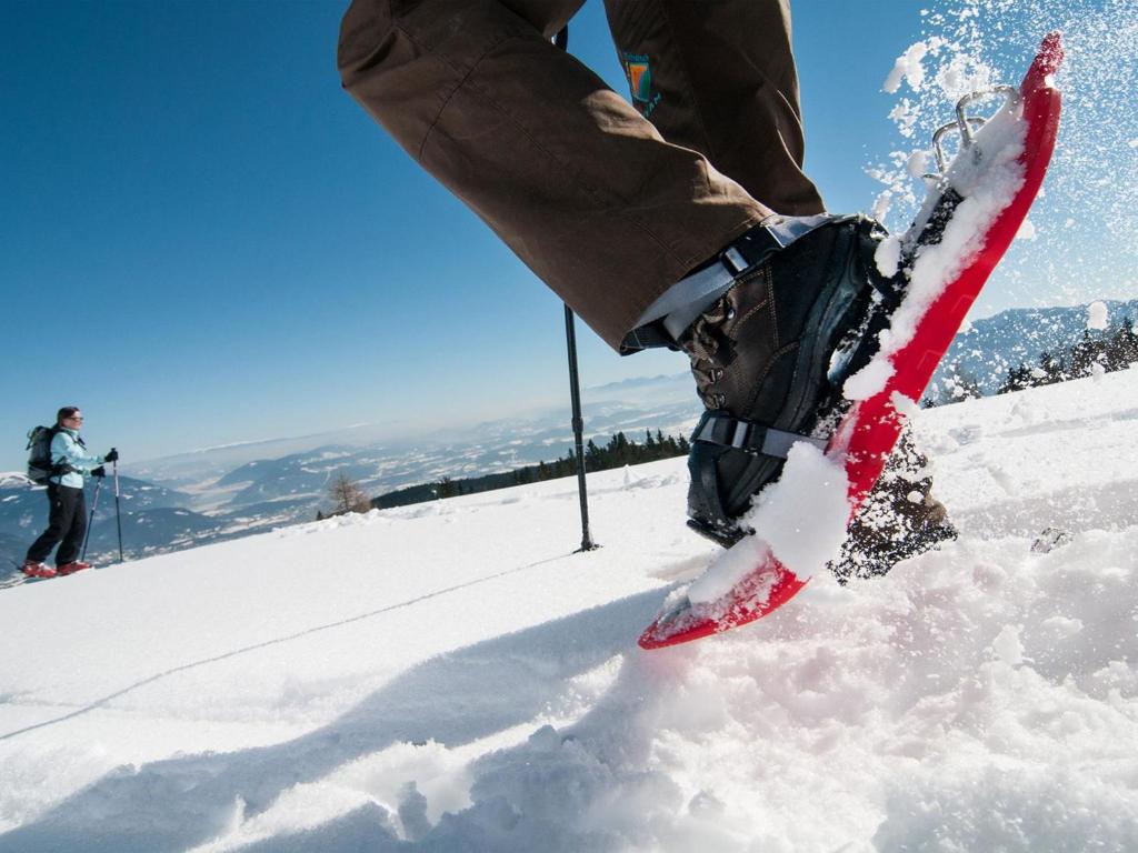 Apartment Burgblick alpe maritima Ski & See-Top 26 by Interhome