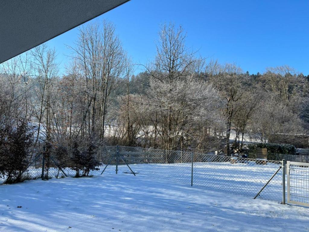 Ferien im grünen Reiterndorf