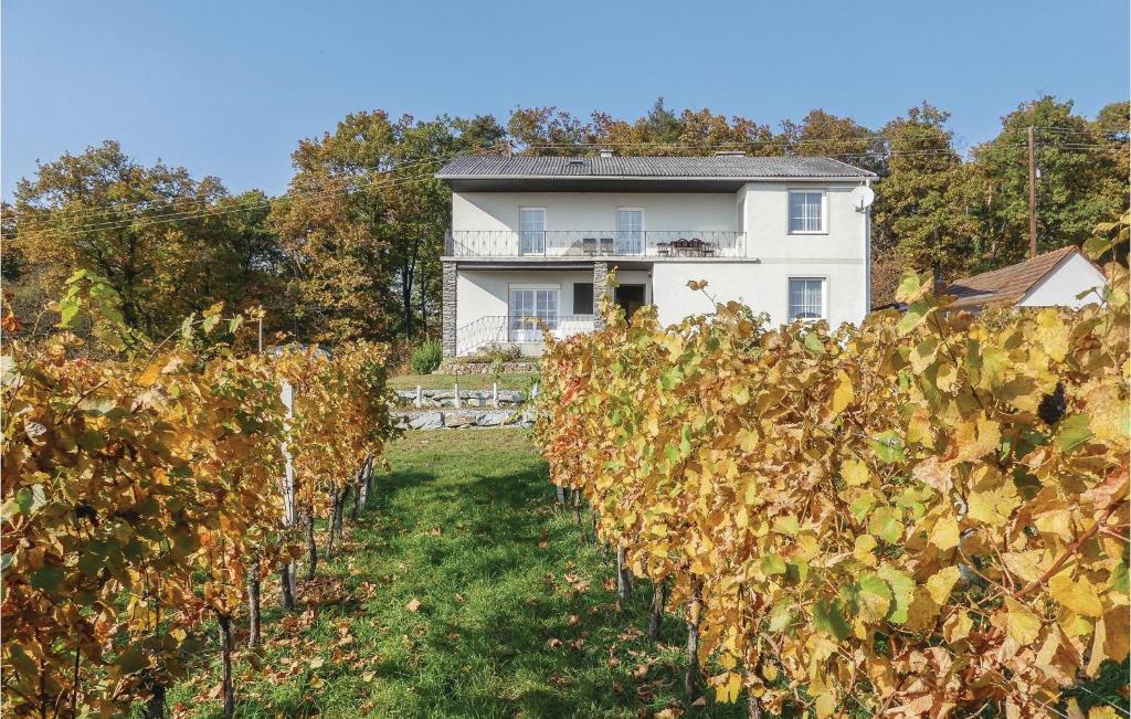 Ferienhaus Mit Panoramablick